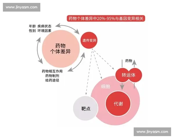 极速反应战术：提升行动速度与效率的实用指南